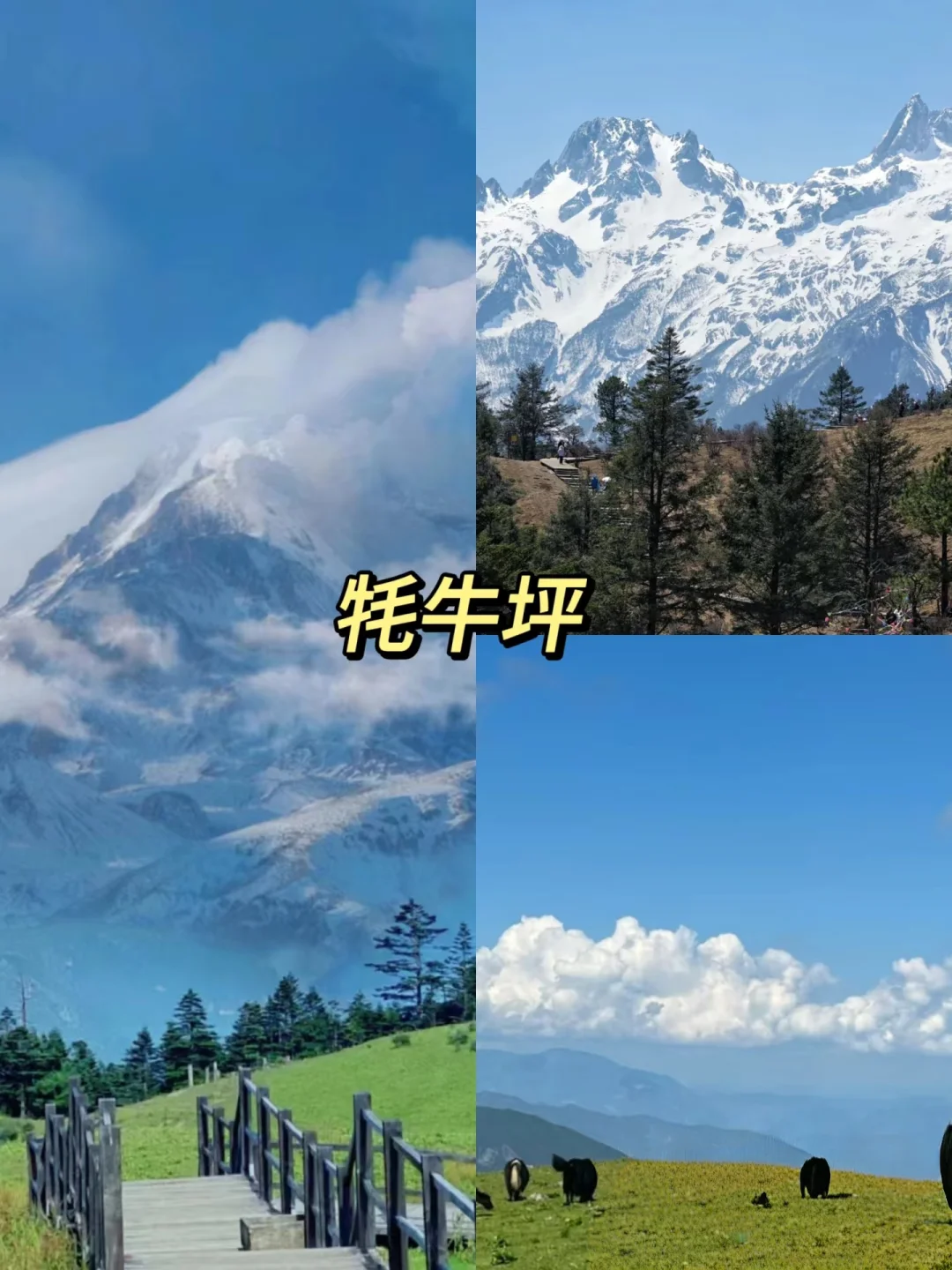 丽江九大必去景点：探寻滇西北的梦幻之境