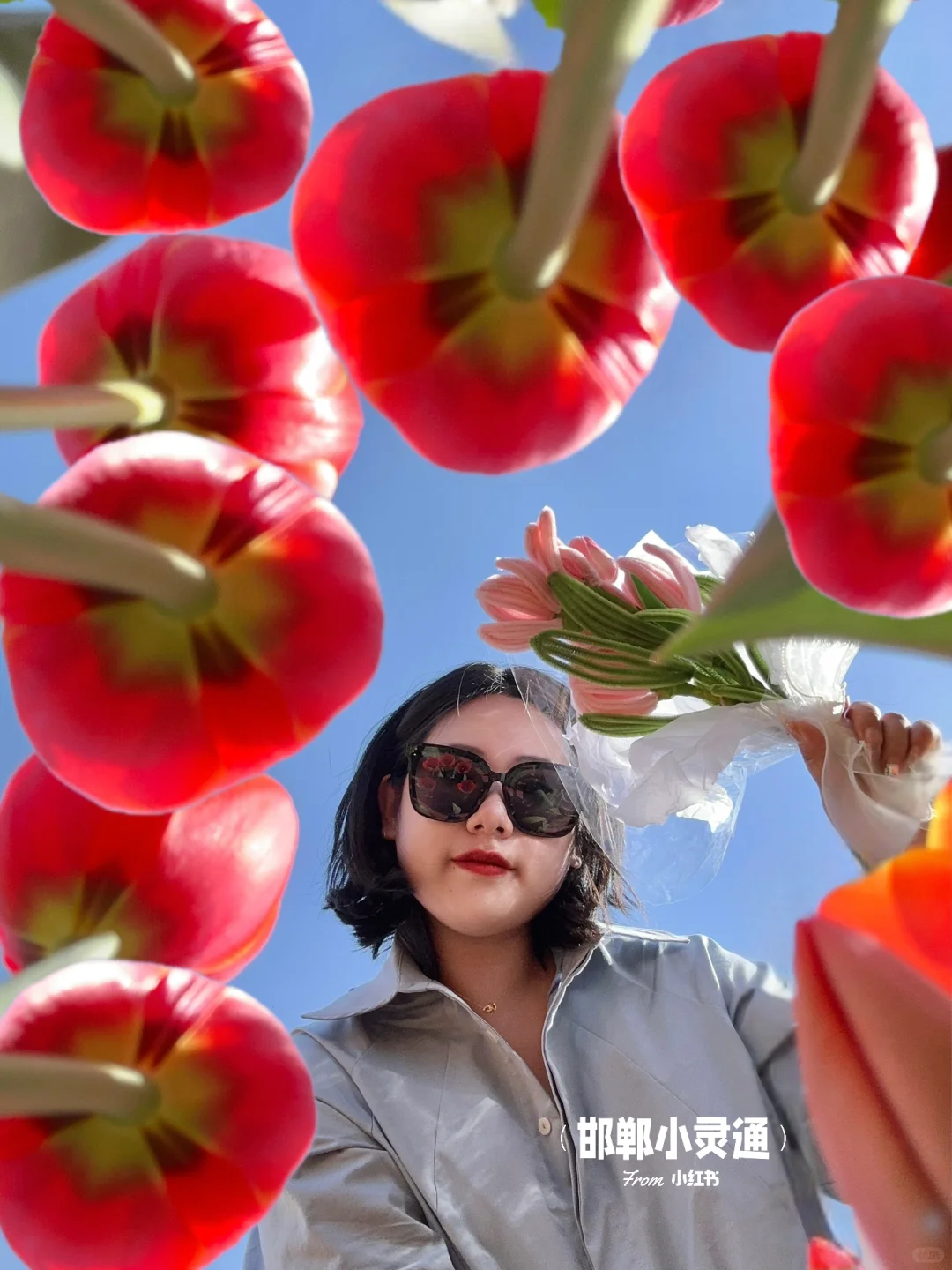 邯郸邢台周边游｜开车一小时的春游好去处🌷