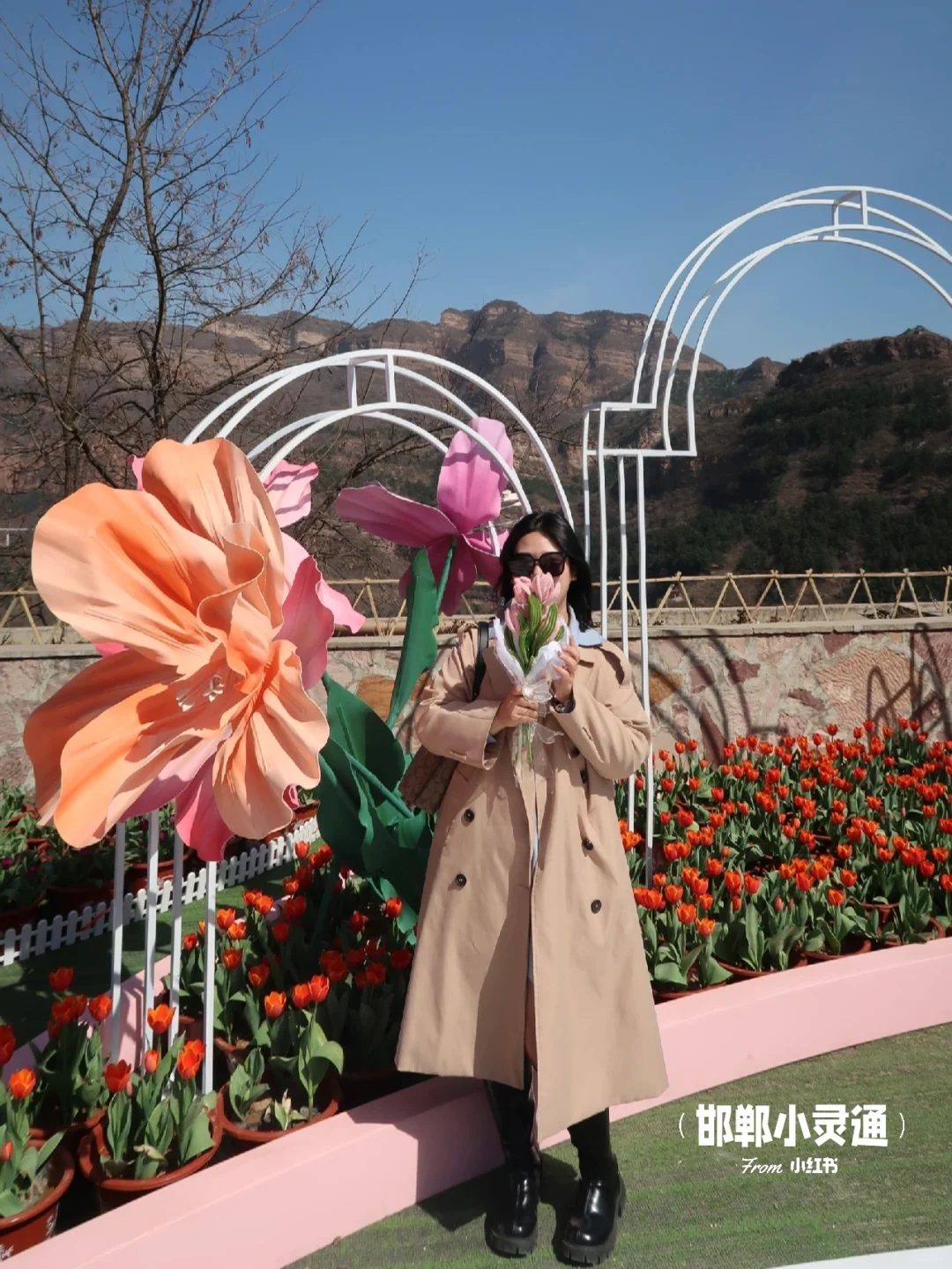 邯郸邢台周边游｜开车一小时的春游好去处🌷