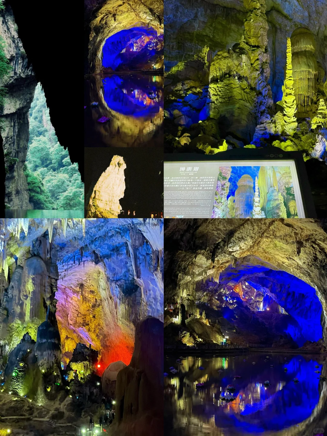 🌈贵州毕节| 2-4 月来真香，邂逅花海之旅！