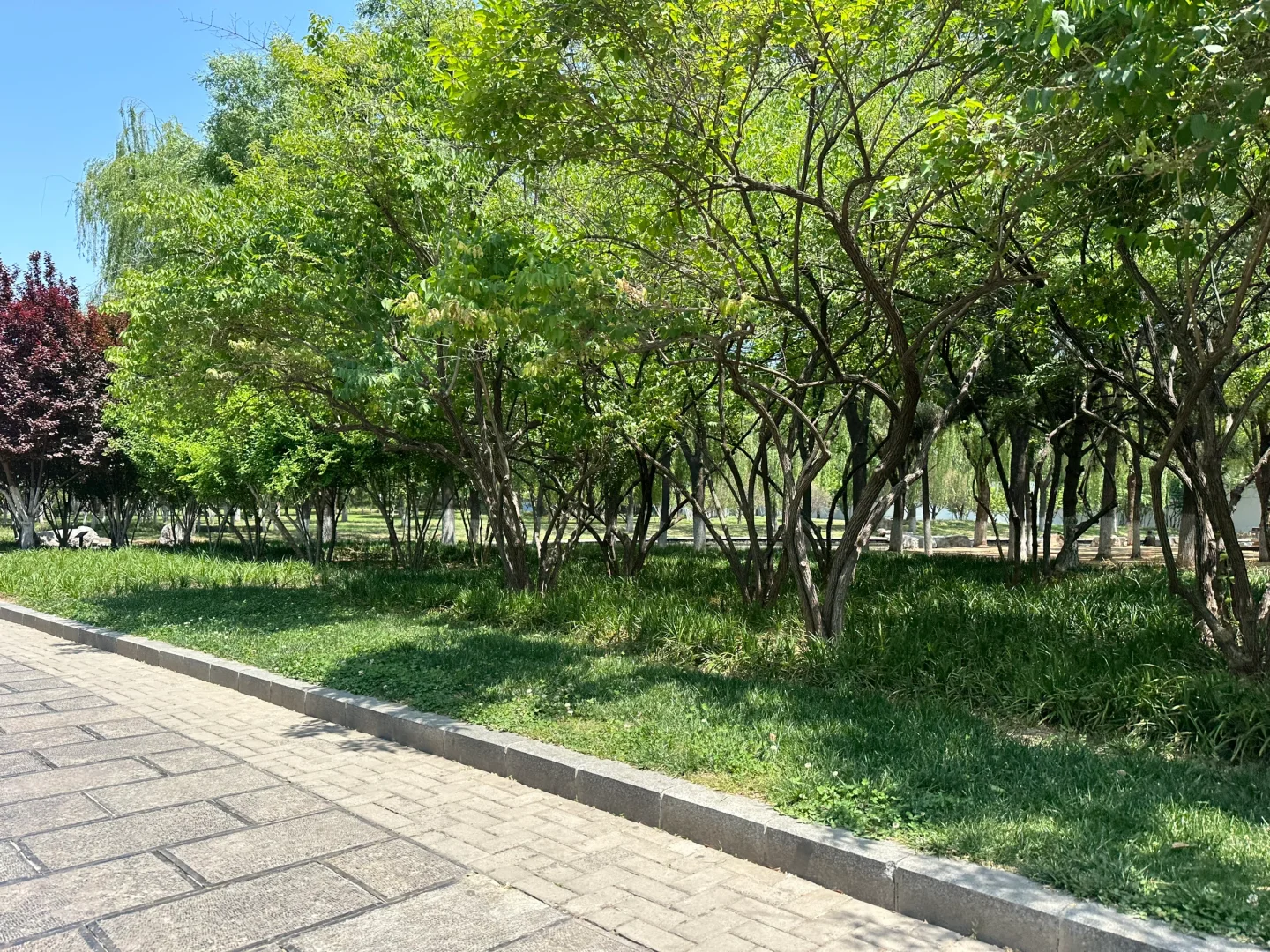 这么近那么美周末到河北