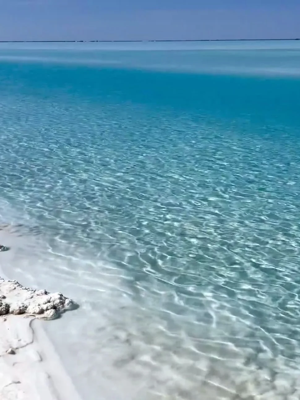 刚和姐妹西北归来🔥报对团有多重要‼️