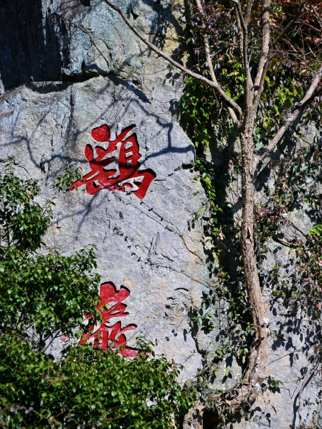 瑞士乡村？这是宁波1h直达的免费小众景点呀