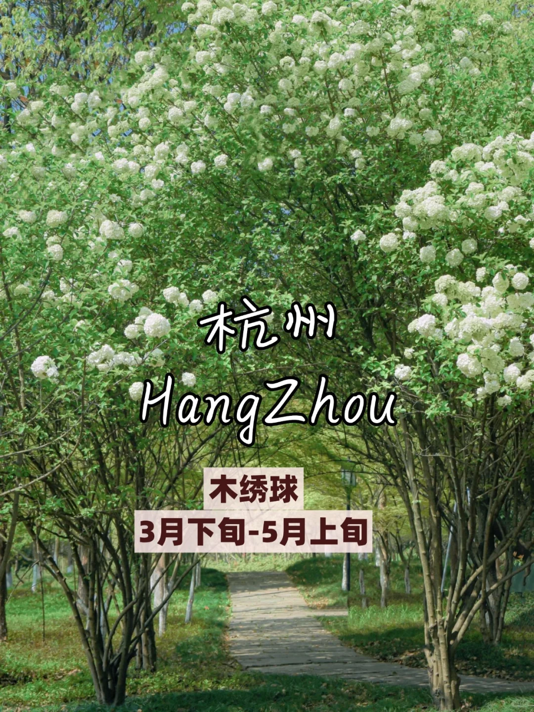 🌸3 - 5 月必打卡的看花城市，美到失语！