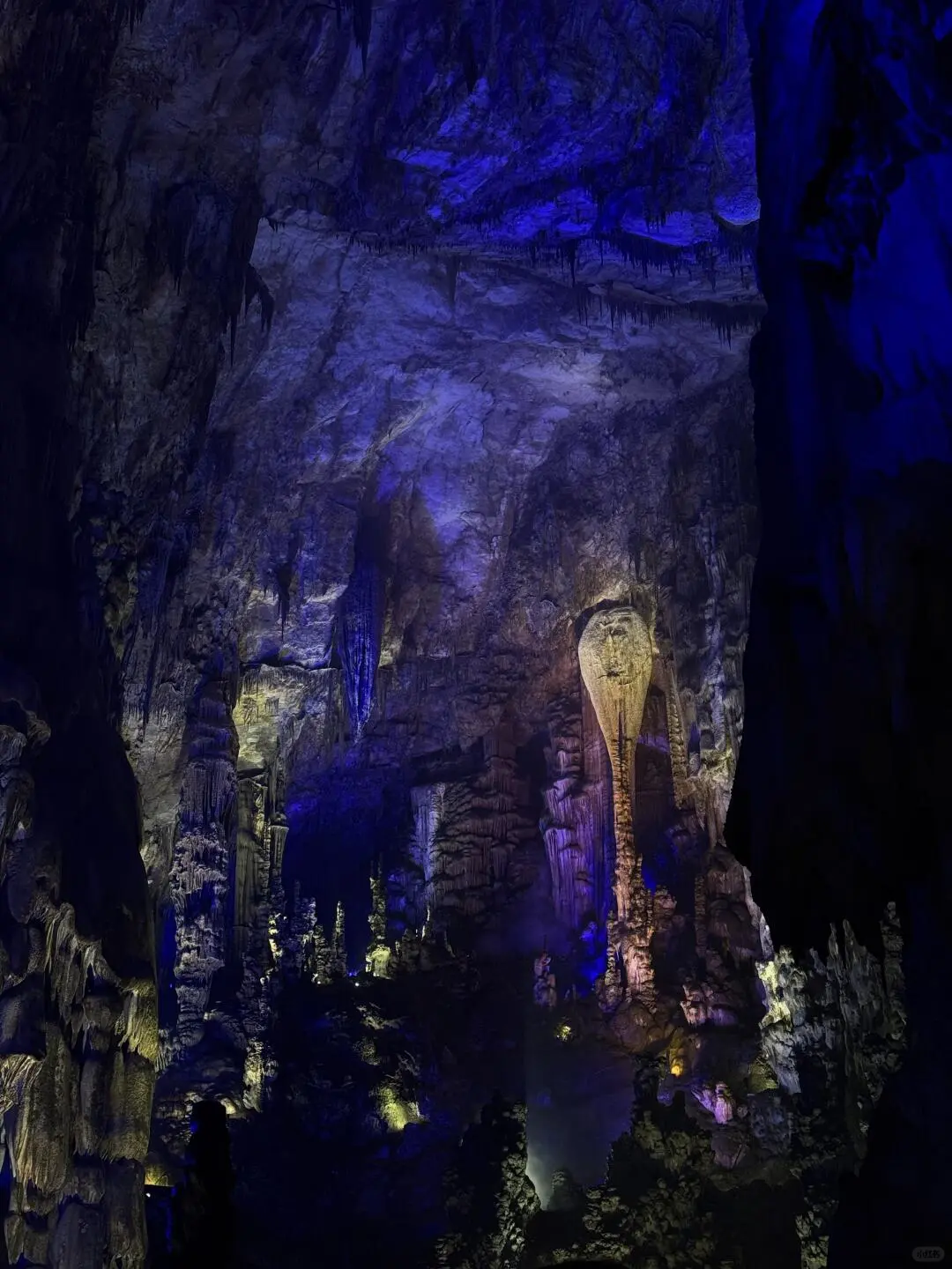 被《国家地理》评为中国最美杜鹃花海的现状