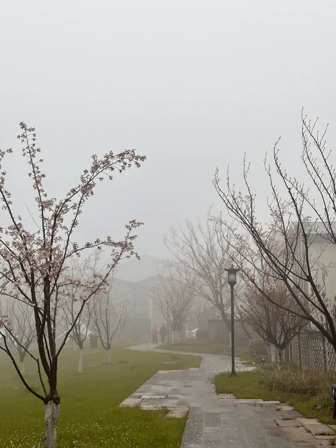 宝华山花筑民宿 | 春季宝藏之选🌷