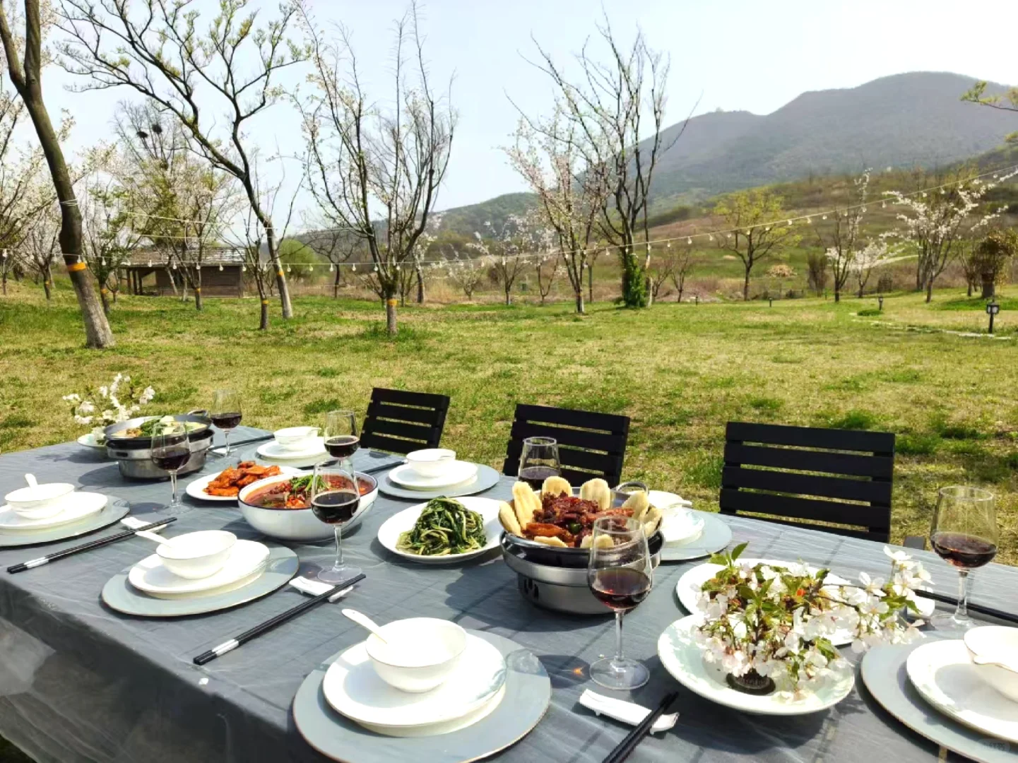 宝华山花筑民宿 | 春季宝藏之选🌷