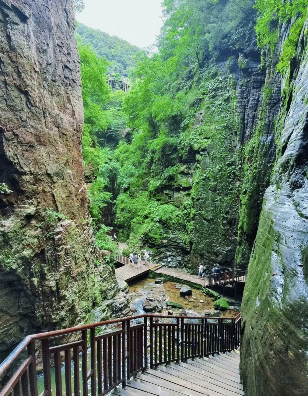 我一个人跟团去了中国唯一破产的5A级景区