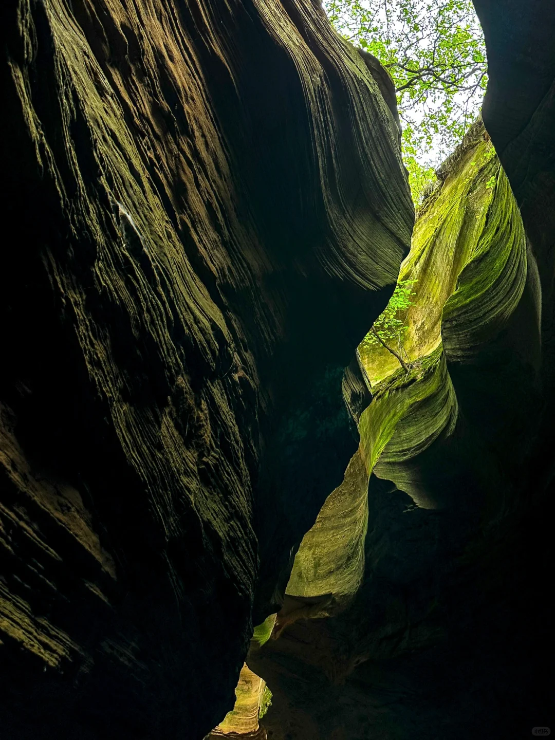 被《国家地理》评为中国最美峡谷有多绝!!