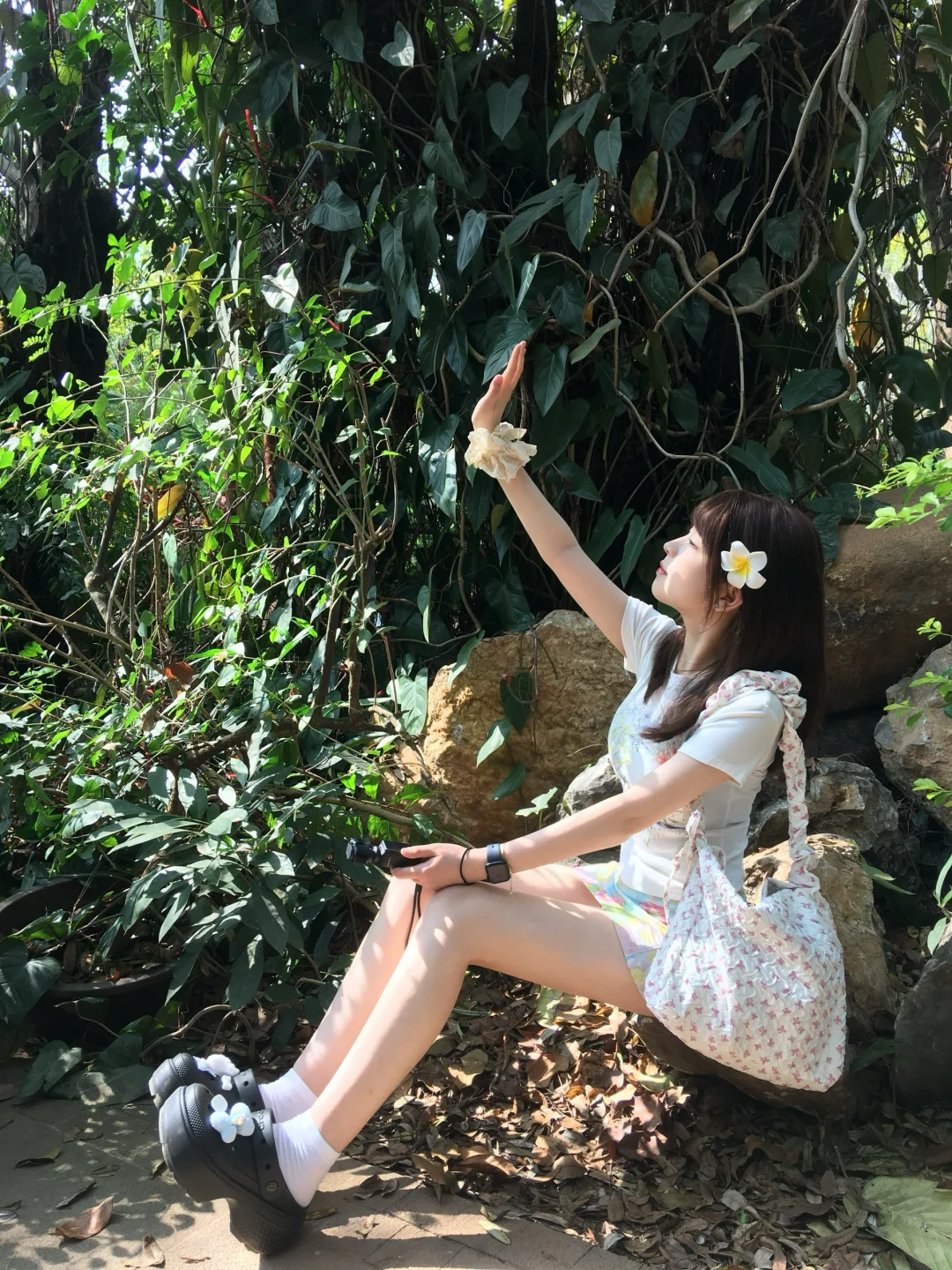 在版纳进行一些光合作用