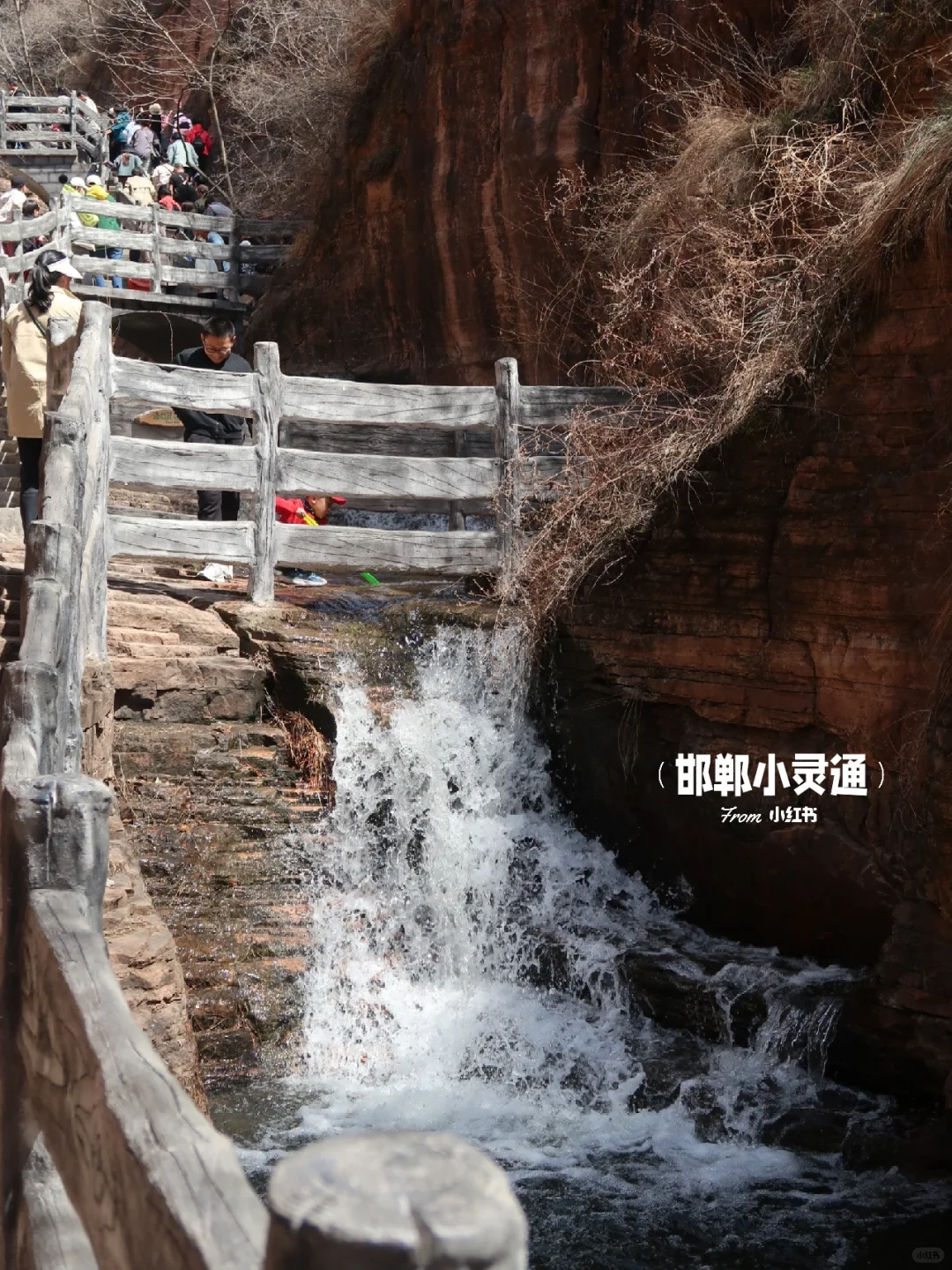 邯郸邢台周边游｜开车一小时的春游好去处🌷