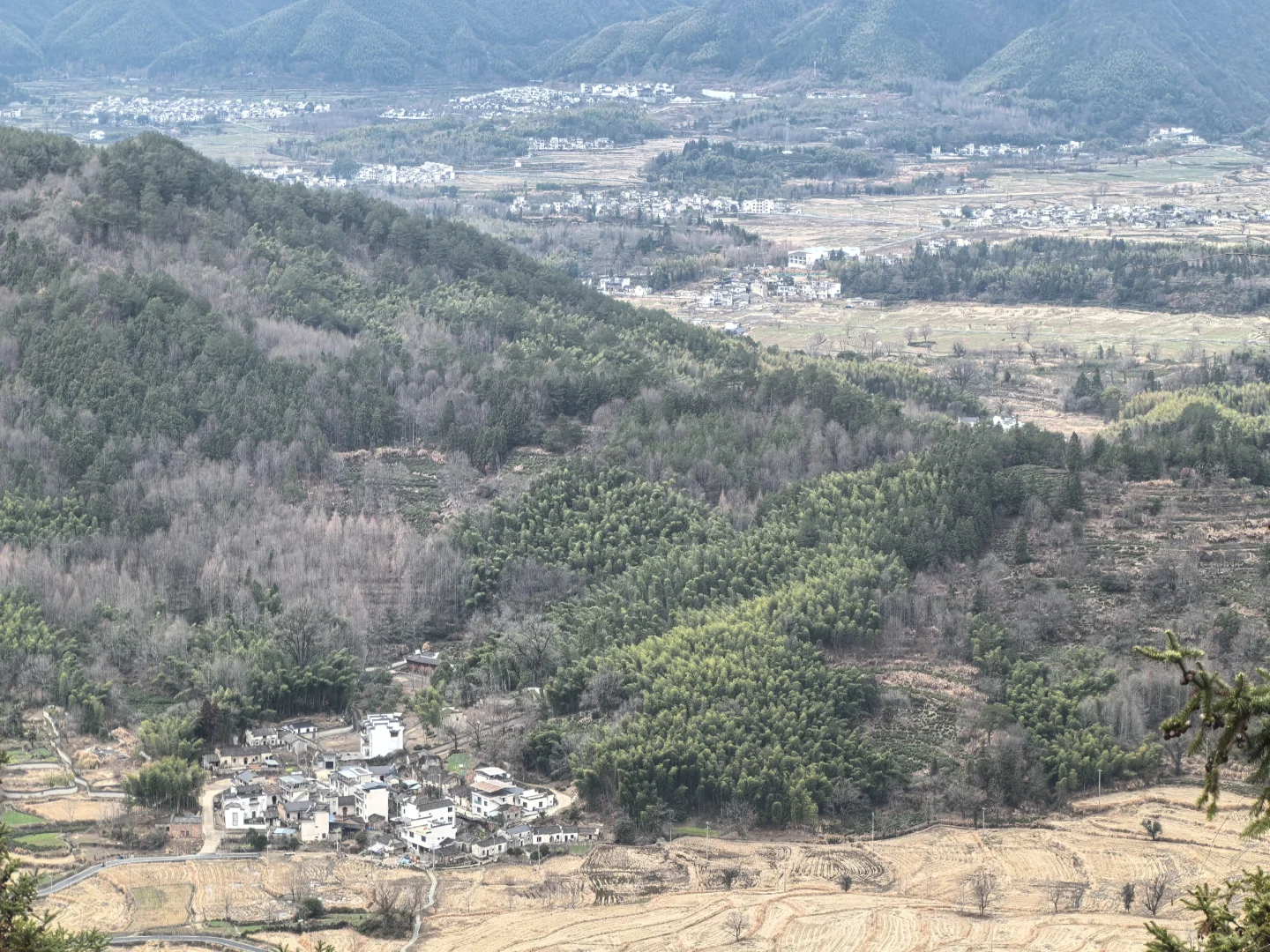 淡季游安徽黟县木坑竹海承包整座山
