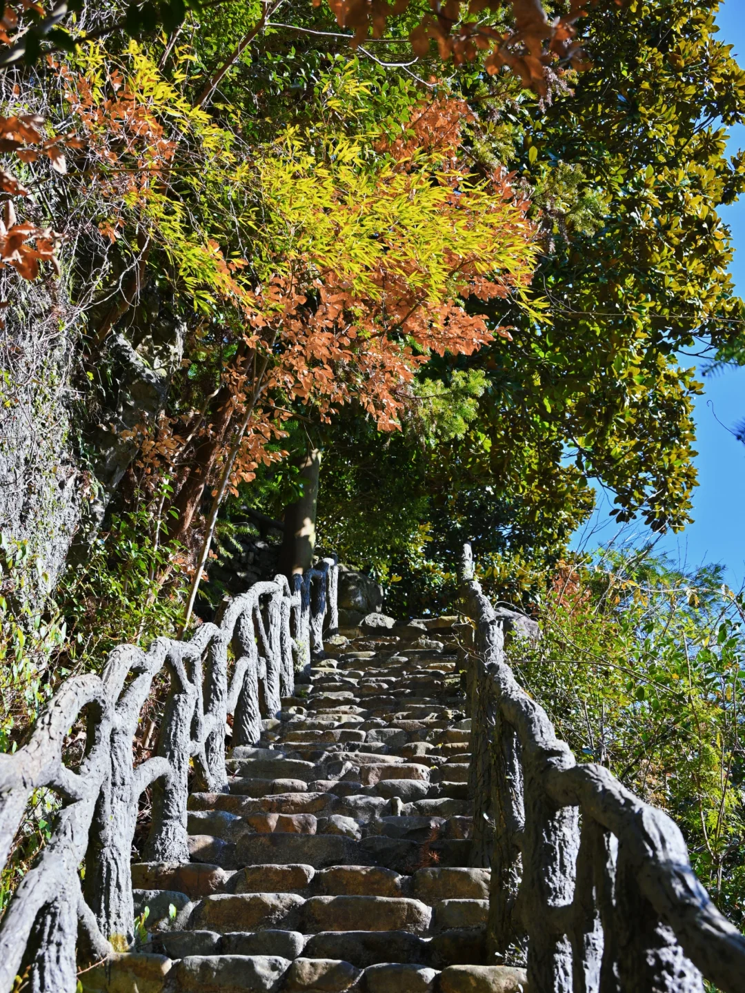 瑞士乡村？这是宁波1h直达的免费小众景点呀