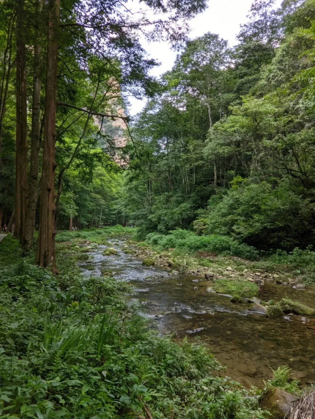 被湘西惊艳到的九大景点😍😍