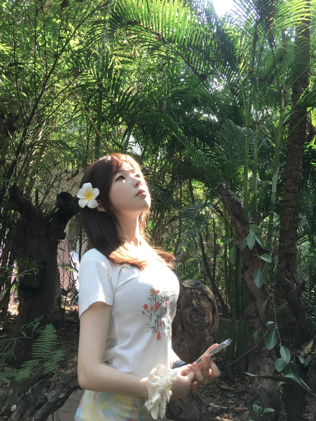 在版纳进行一些光合作用