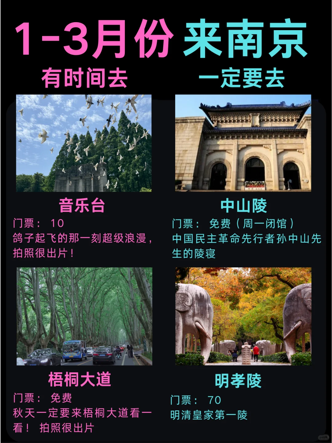 熬了个大夜😳2-3月南京游玩攻略备好啦✅