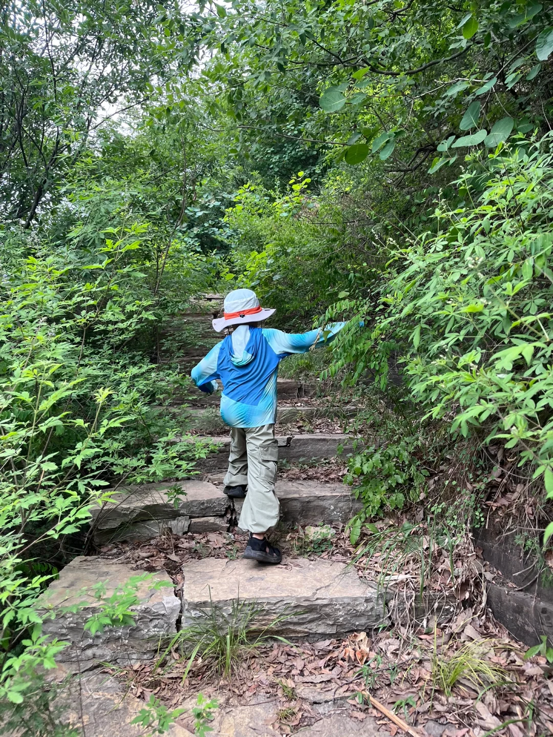 徒步一年，推荐给大家9条值得走的路线