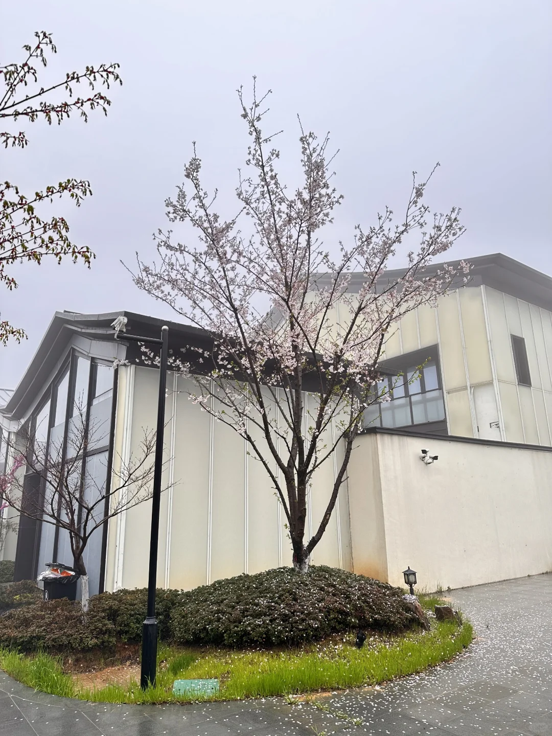 宝华山花筑民宿 | 春季宝藏之选🌷