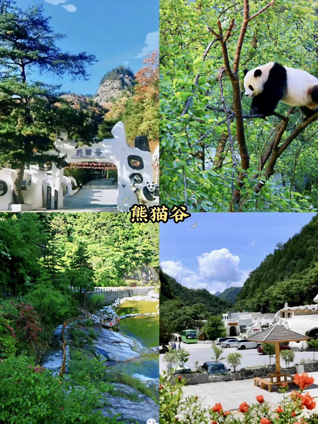 汉中必去9大景点‼️汉中旅游必看❗️
