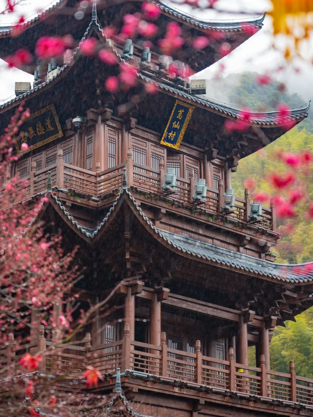 美炸了😭不愧是《国家地理》推荐的人间仙境‼