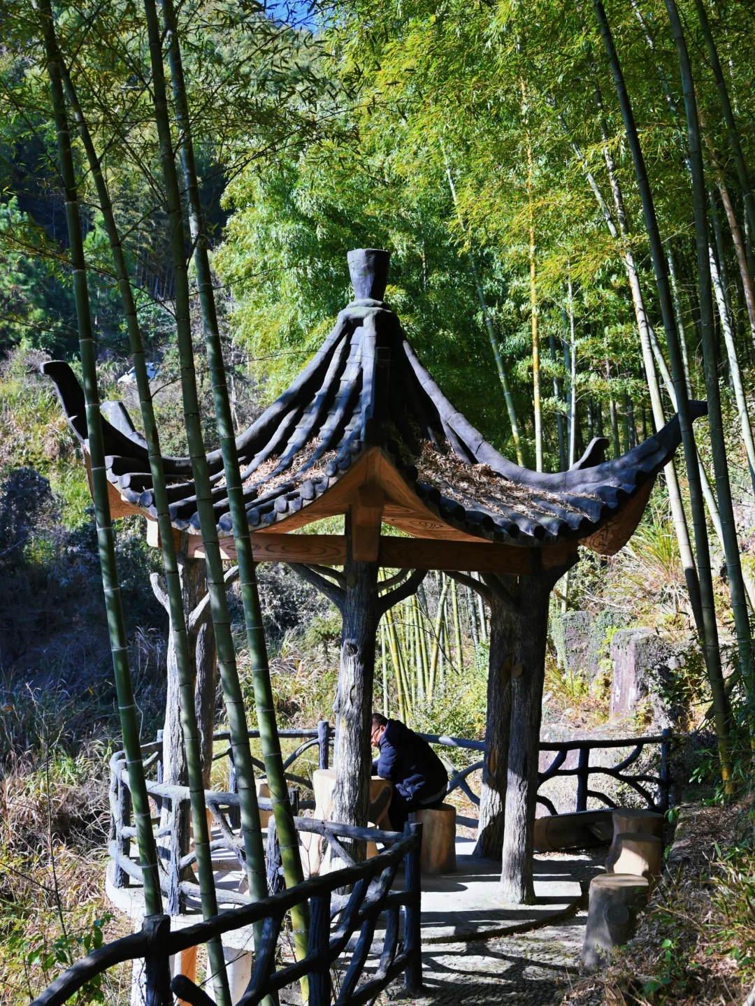 瑞士乡村？这是宁波1h直达的免费小众景点呀