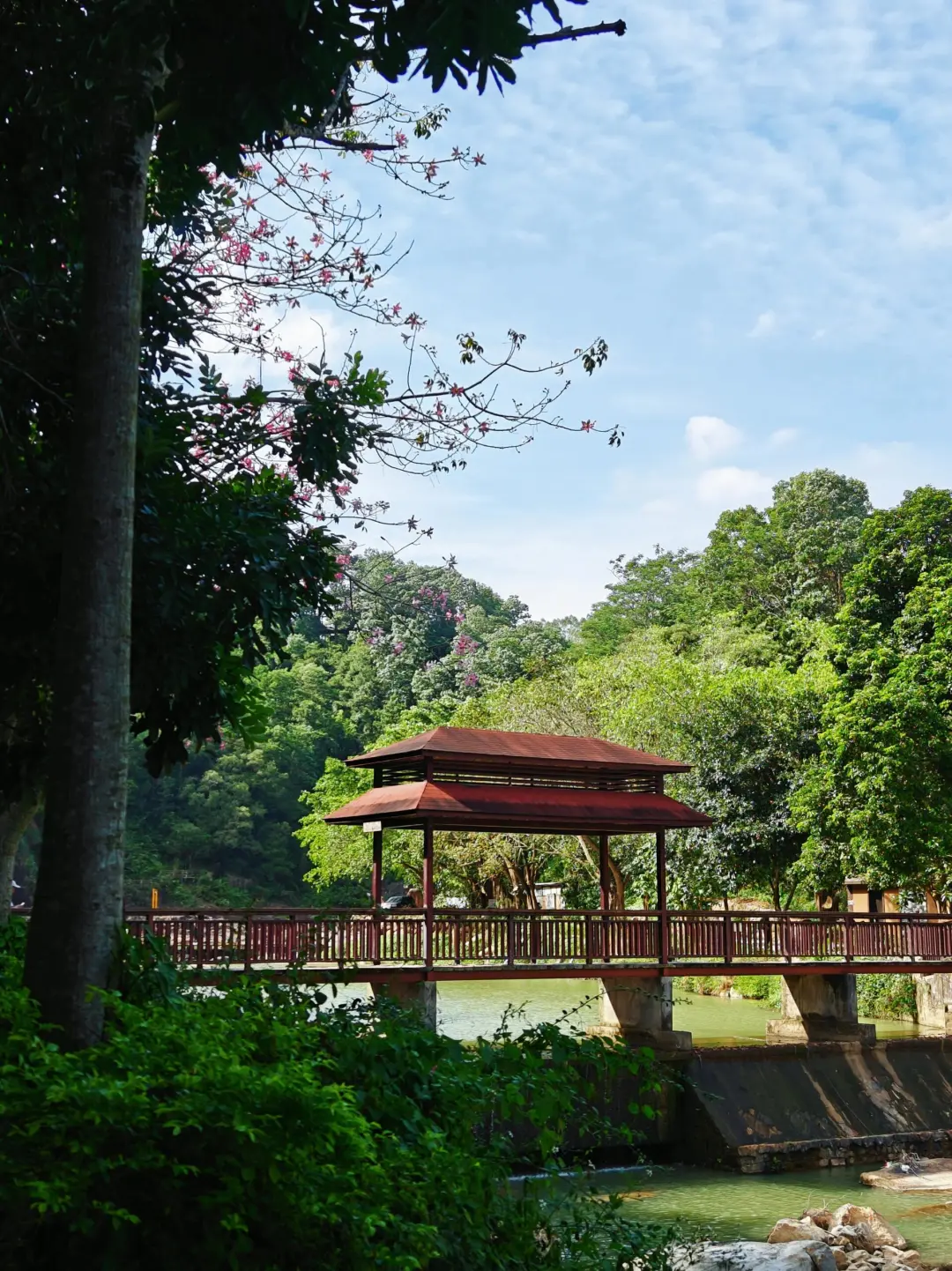 饶平1天游 | 打卡两大国级景点