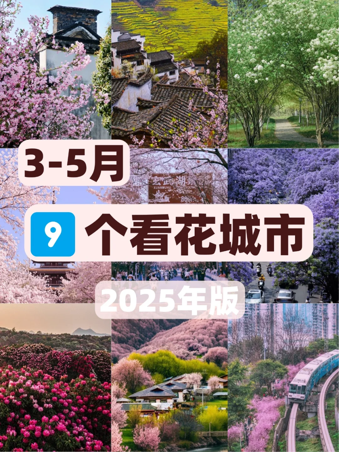🌸3 - 5 月必打卡的看花城市，美到失语！