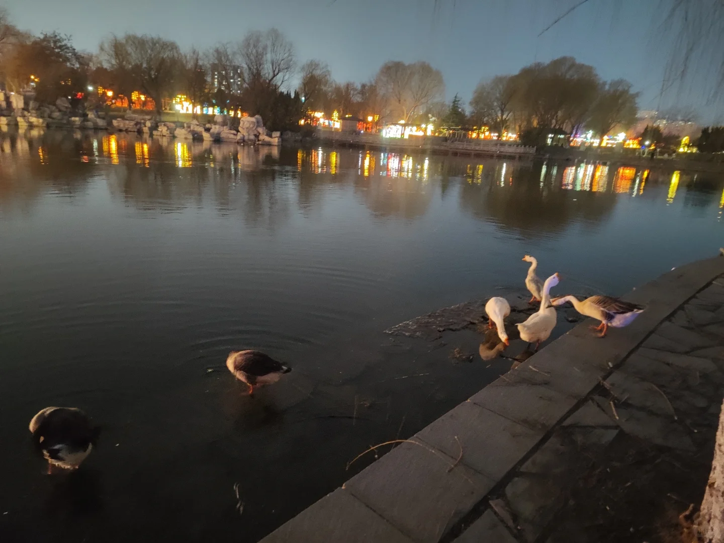 ✨邯郸遛娃👣园博园童心乐园–赵苑灯展