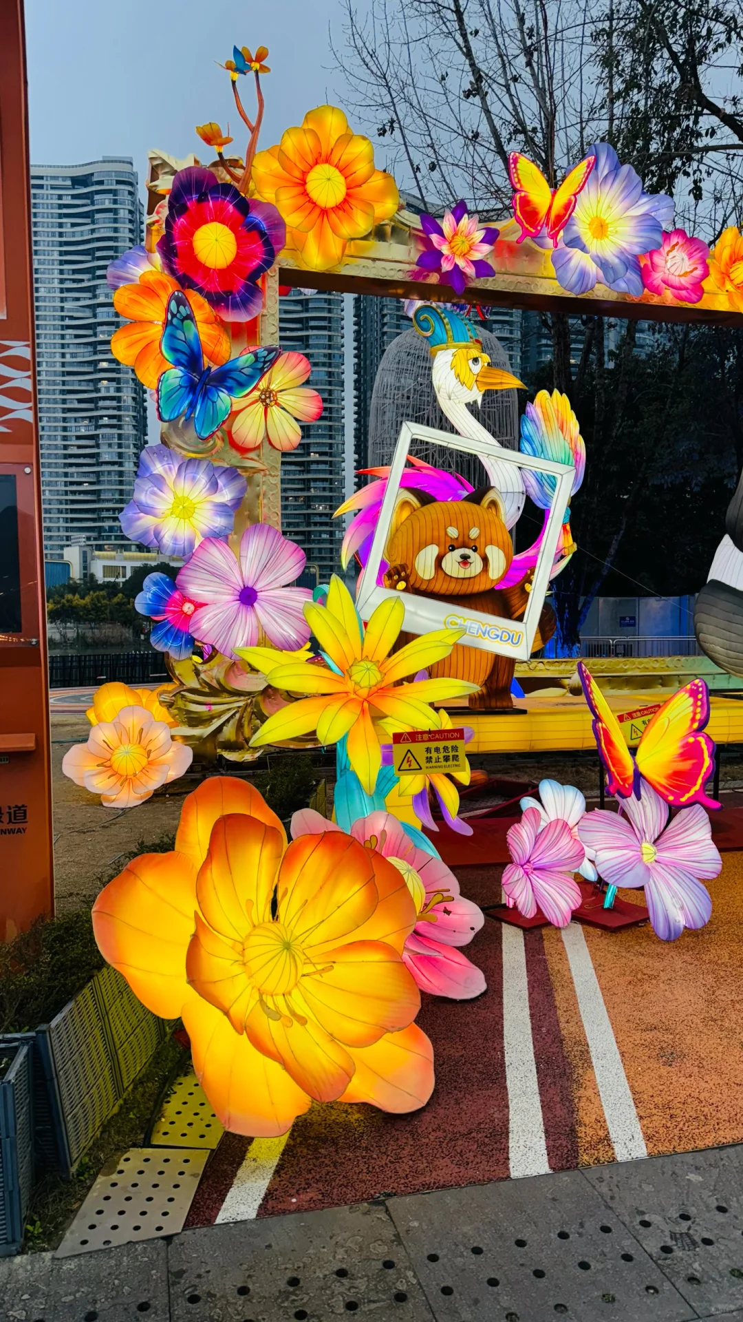 打卡成都熊猫灯会