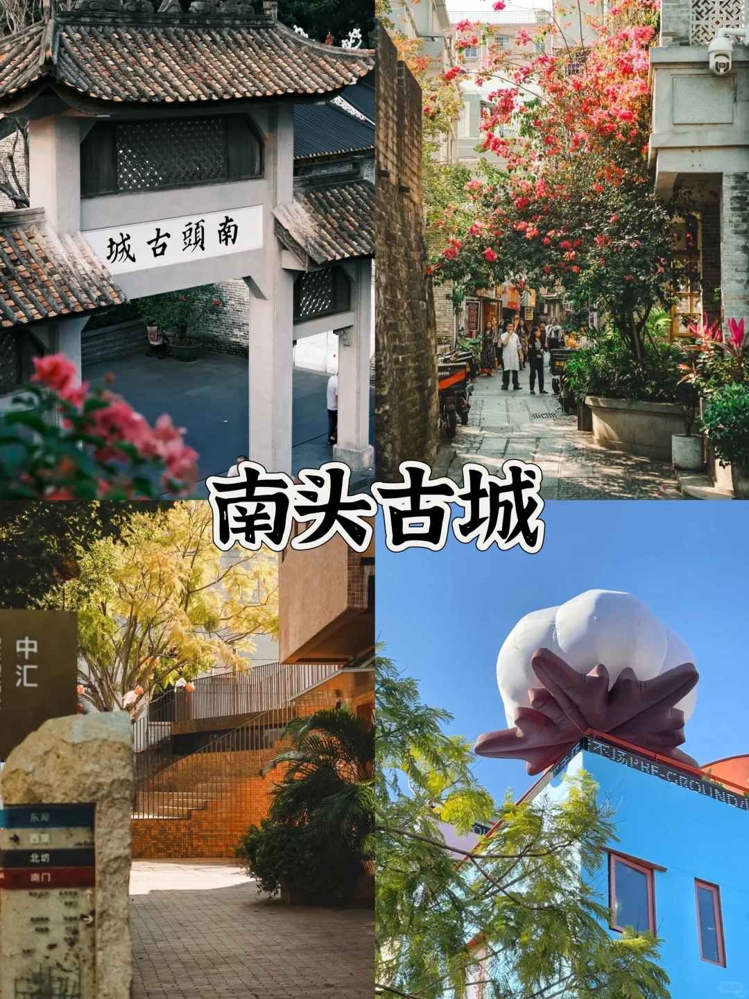 深圳地铁直达的9个免费景点全攻略(2)🔥