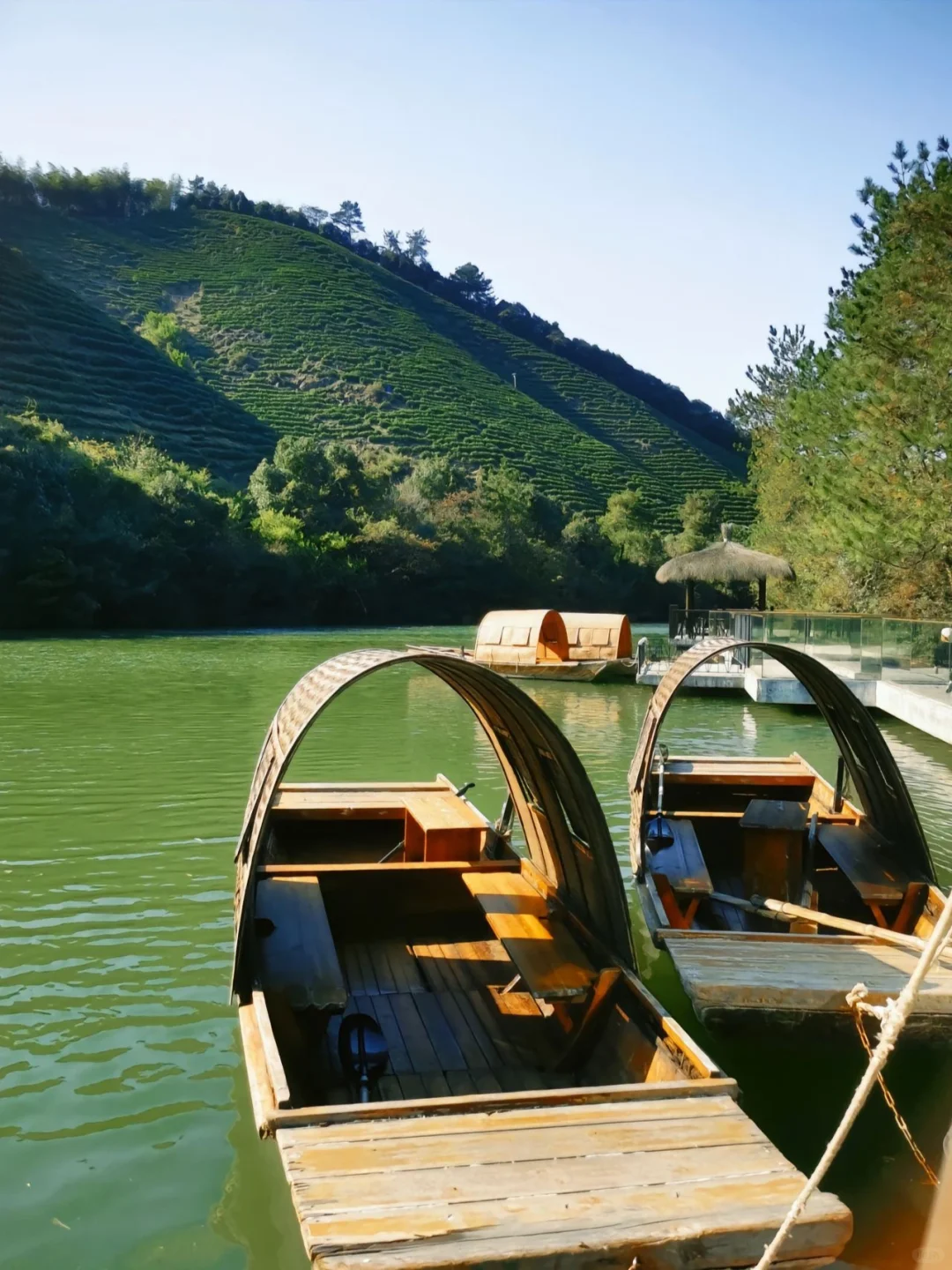 在安吉‼️朋友圈问疯了！都以为我去新疆了
