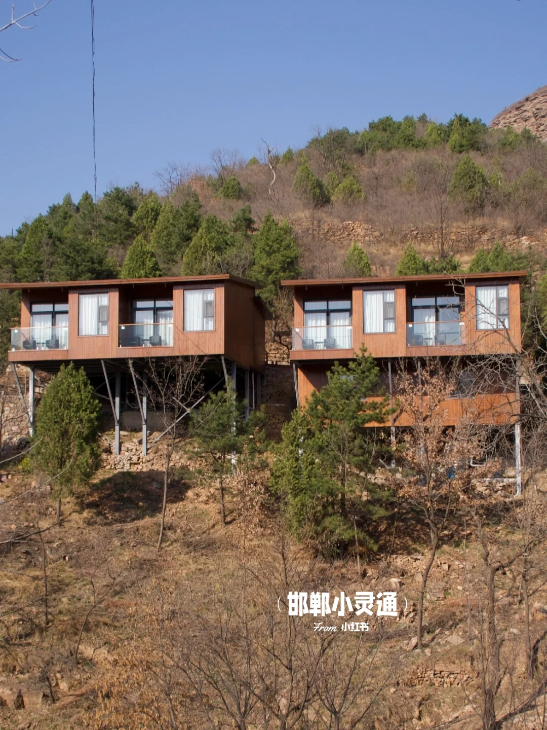 邯郸邢台周边游｜开车一小时的春游好去处🌷