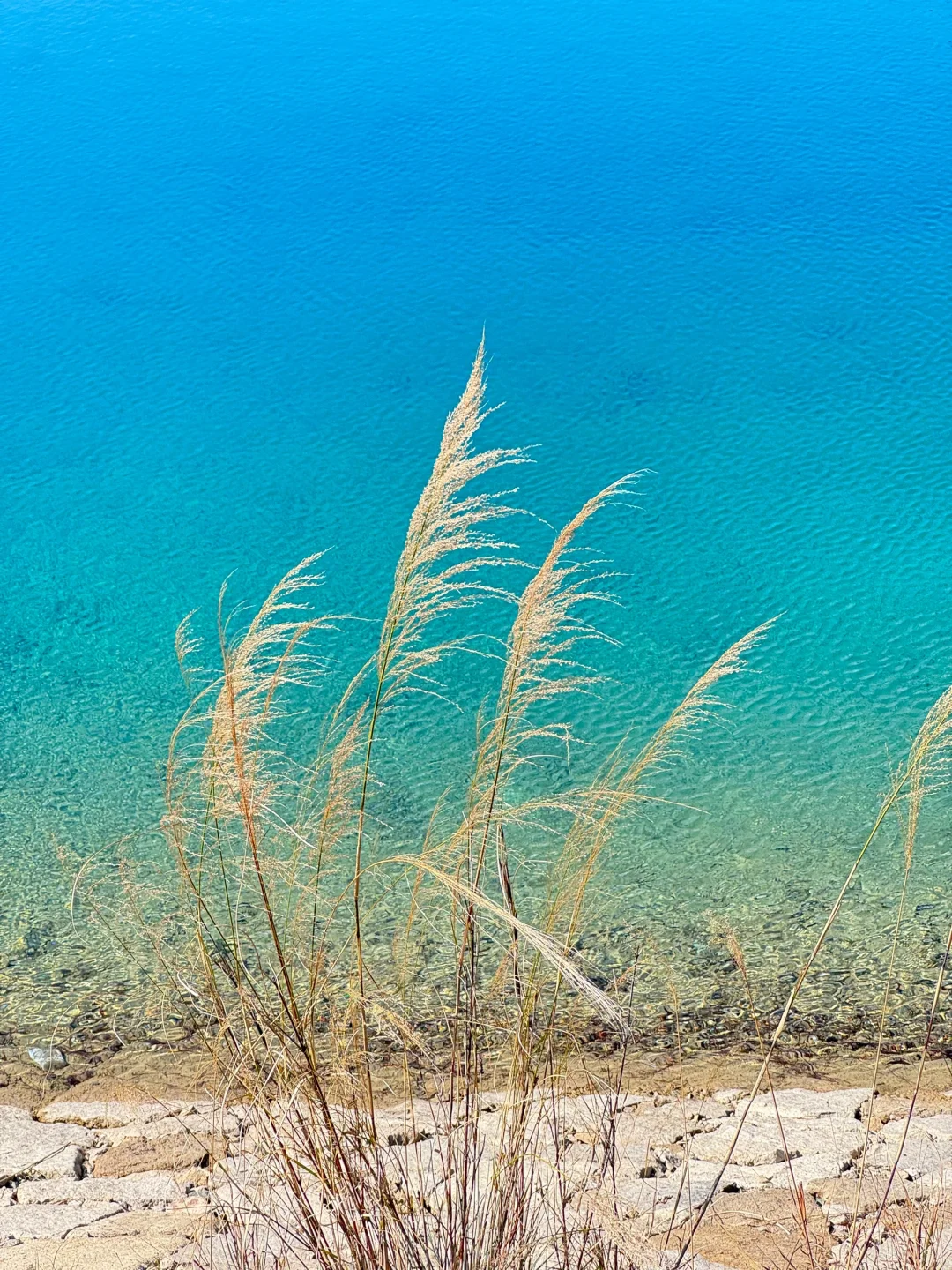 厦门版“九寨沟”,真的是眼睛的天堂!