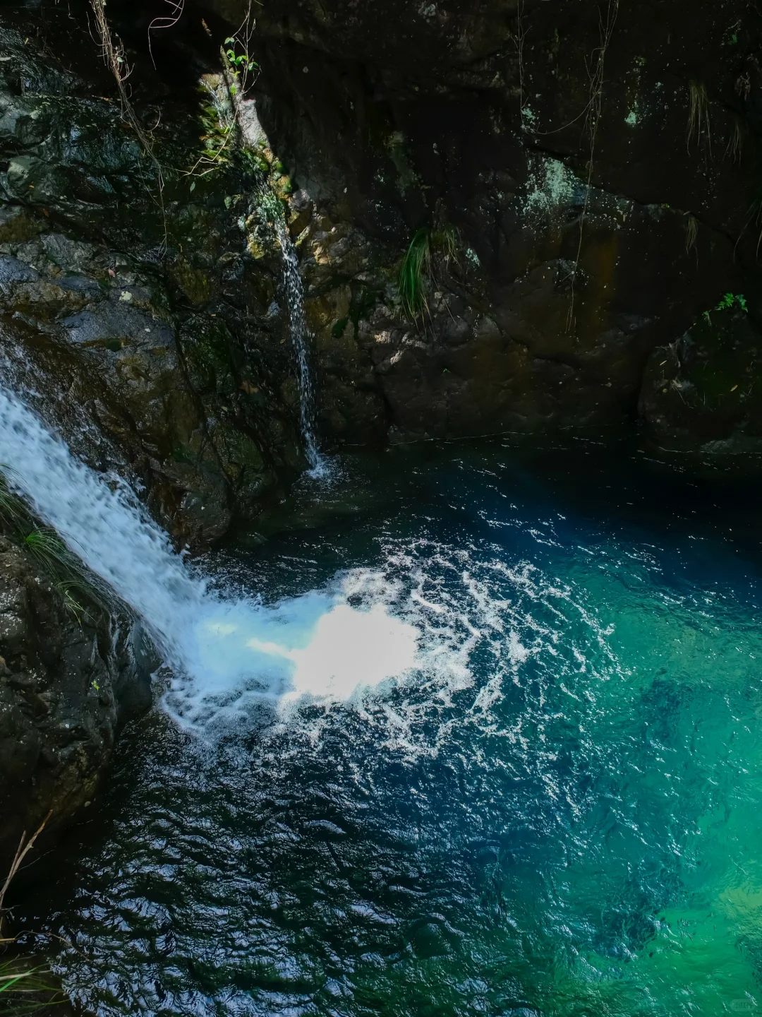 真的不在九寨沟！！在浙江！！美哭我😭😭