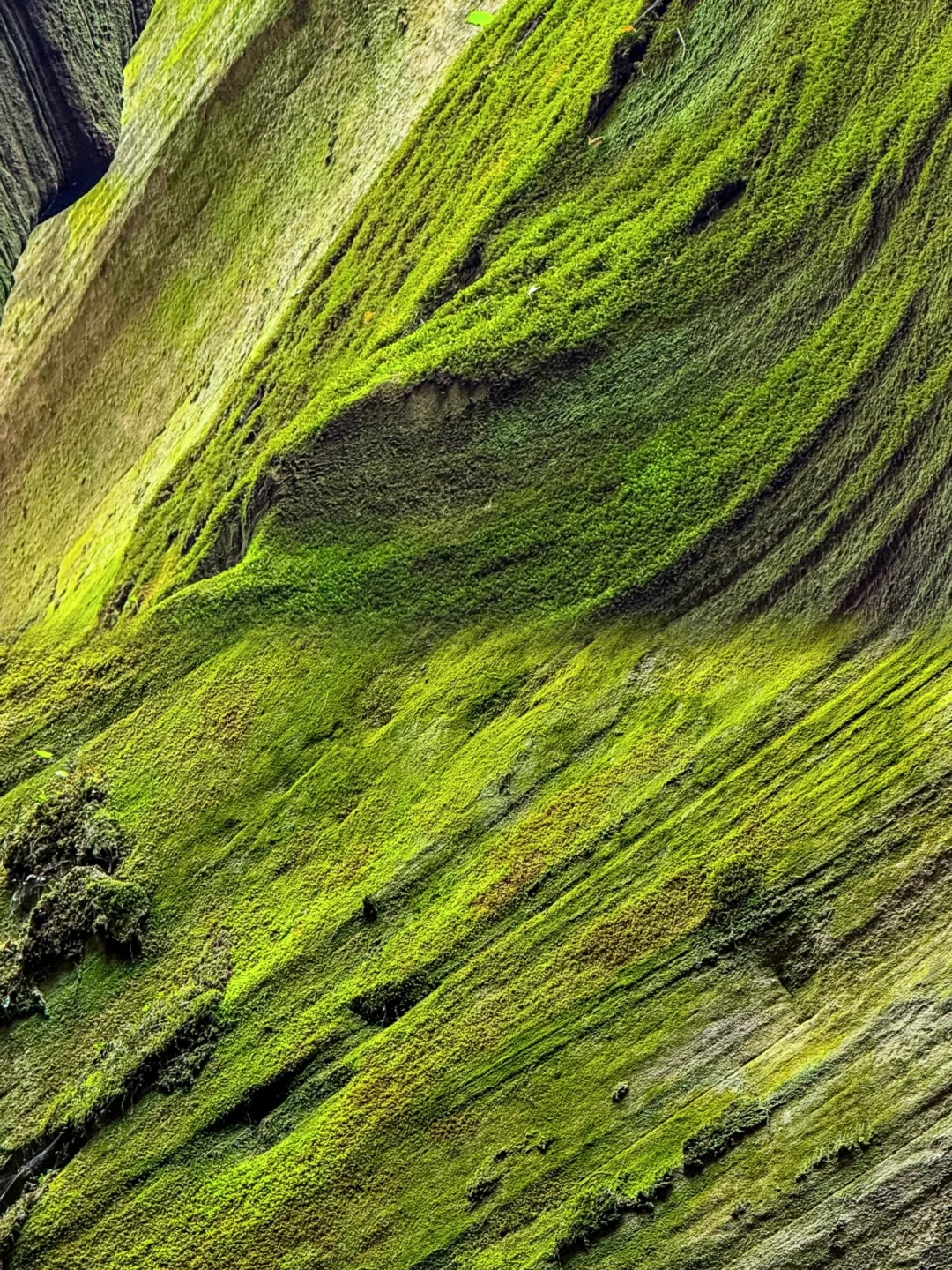 被《国家地理》评为中国最美峡谷有多绝!!
