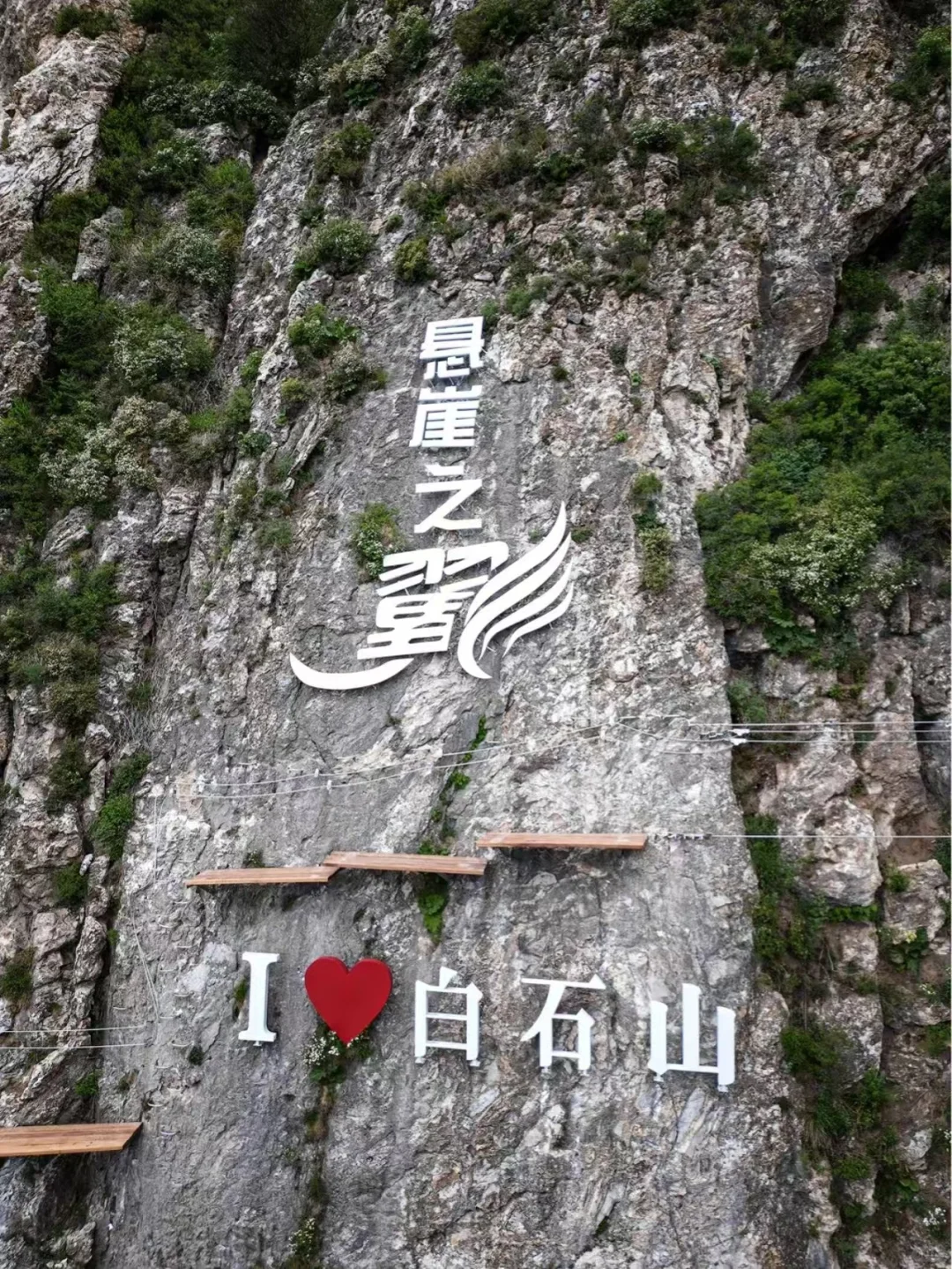 别错过🔥免票终于轮到京津山河四省啦~