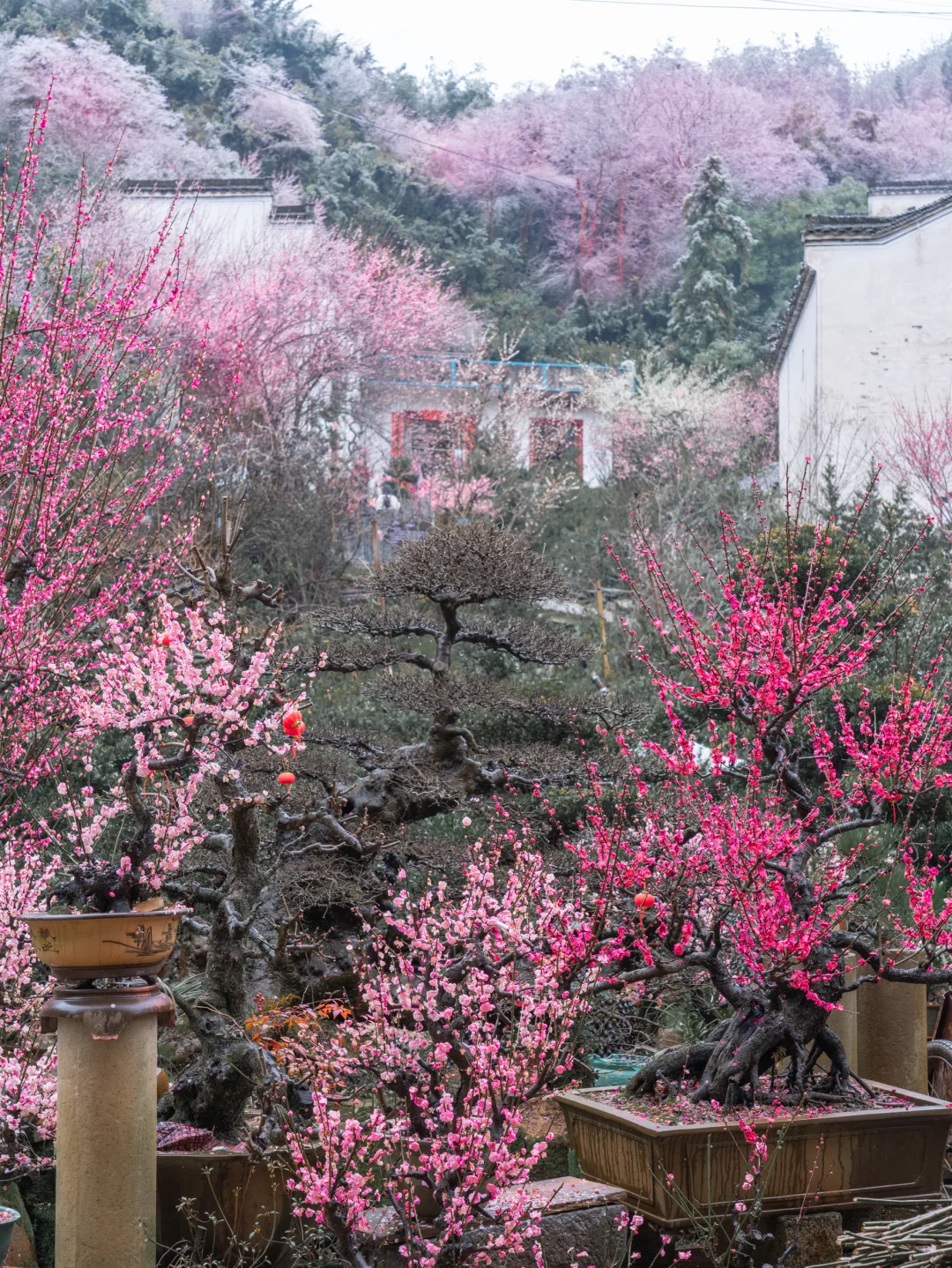 以为宏村很美了,直到我来到了这里‼️