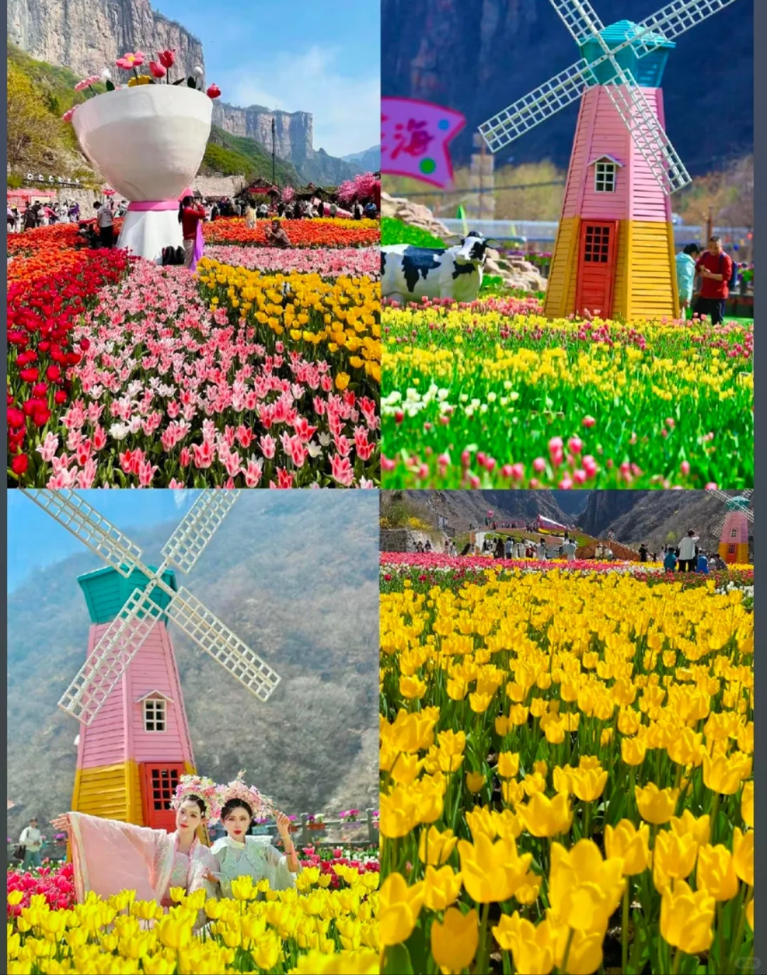 邯郸到宝泉，这样去才有性价比！