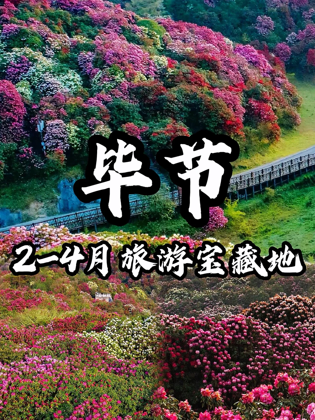 🌈贵州毕节| 2-4 月来真香，邂逅花海之旅！