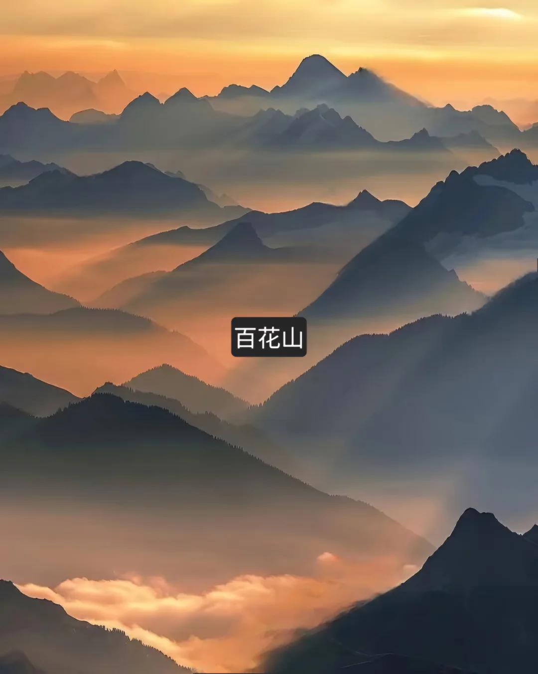 🌸 春日自驾 | 探索北京隐藏的美丽秘境