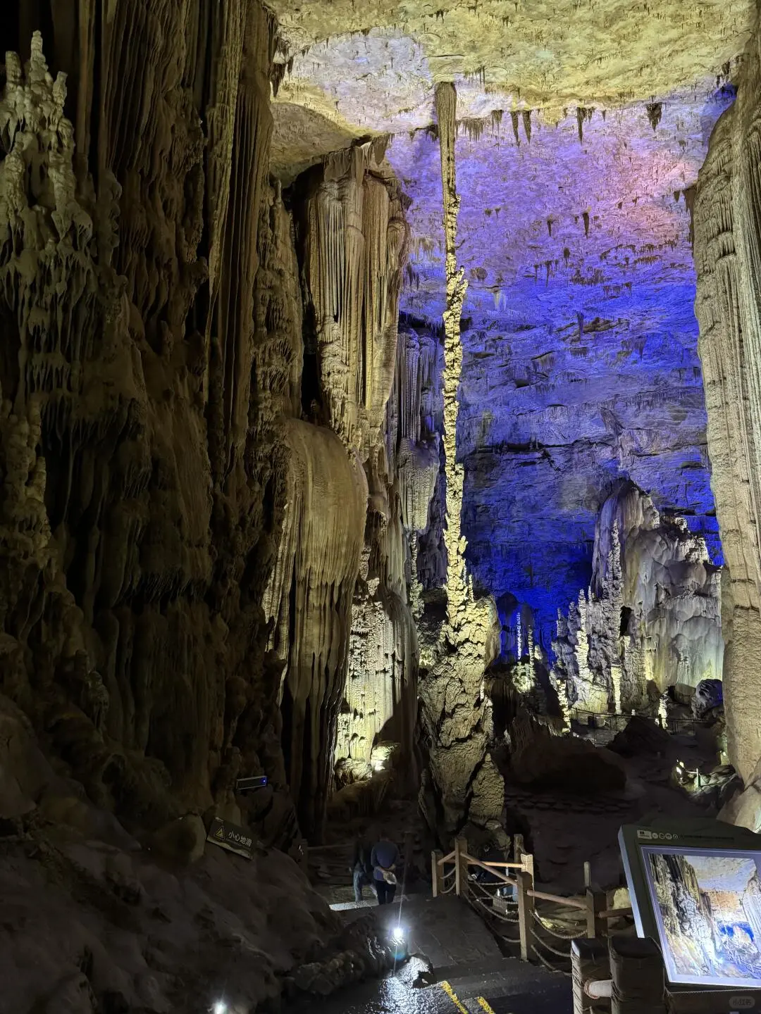 被《国家地理》评为中国最美杜鹃花海的现状