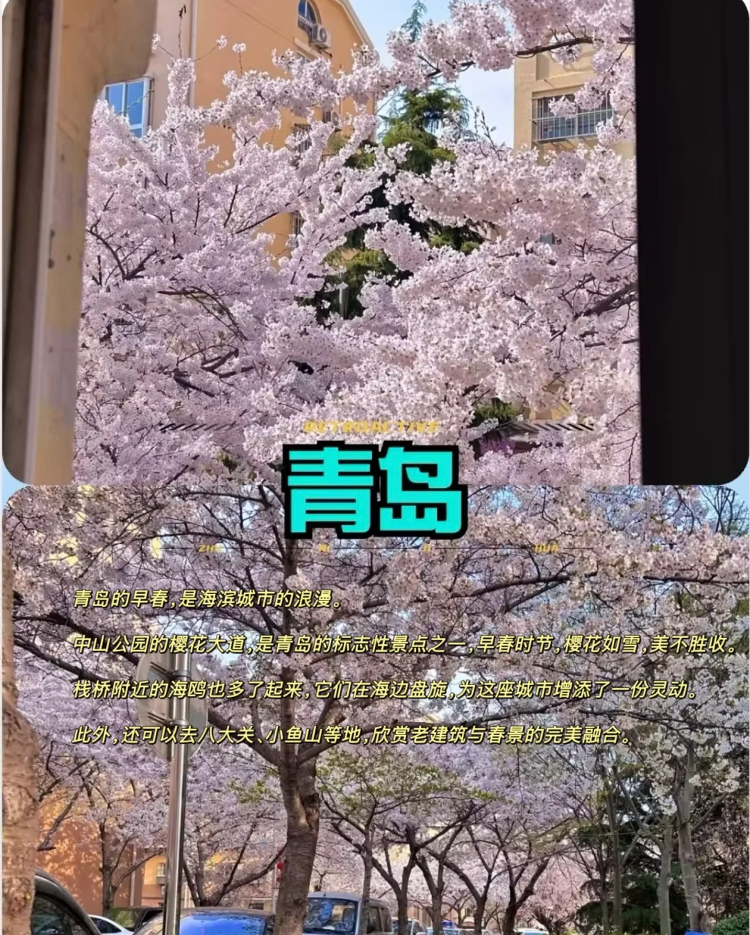 2-3月适🈴踏青旅游的10个目的地推荐👉