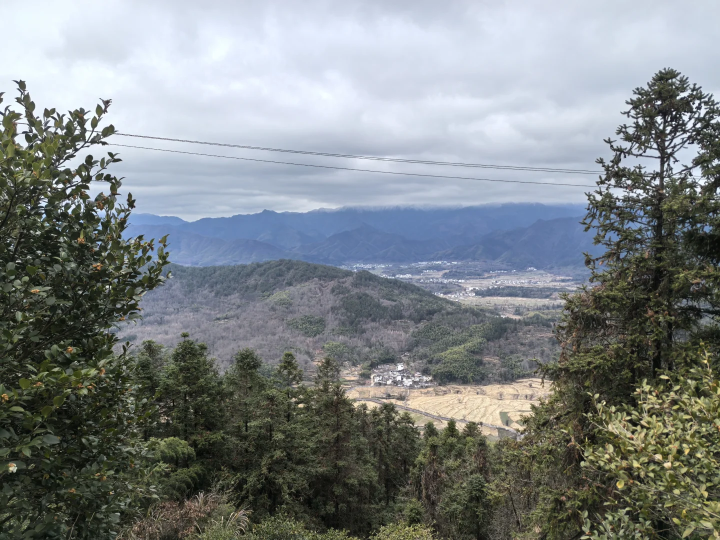 淡季游安徽黟县木坑竹海承包整座山