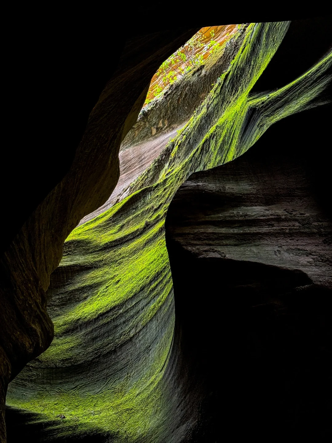 被《国家地理》评为中国最美峡谷有多绝!!