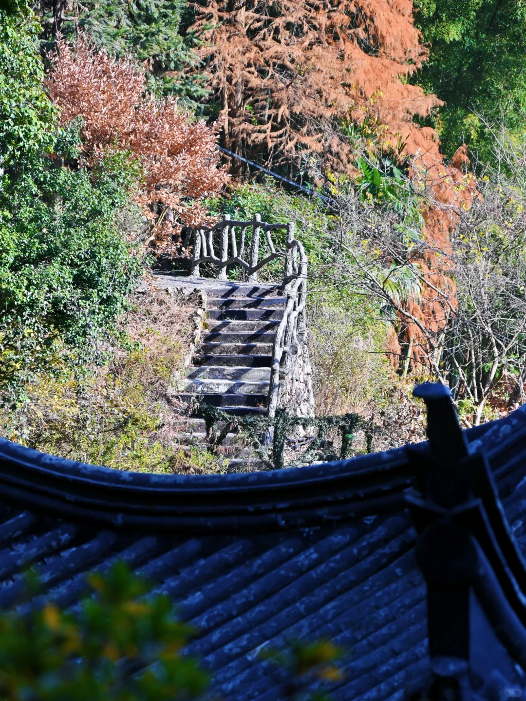 瑞士乡村？这是宁波1h直达的免费小众景点呀