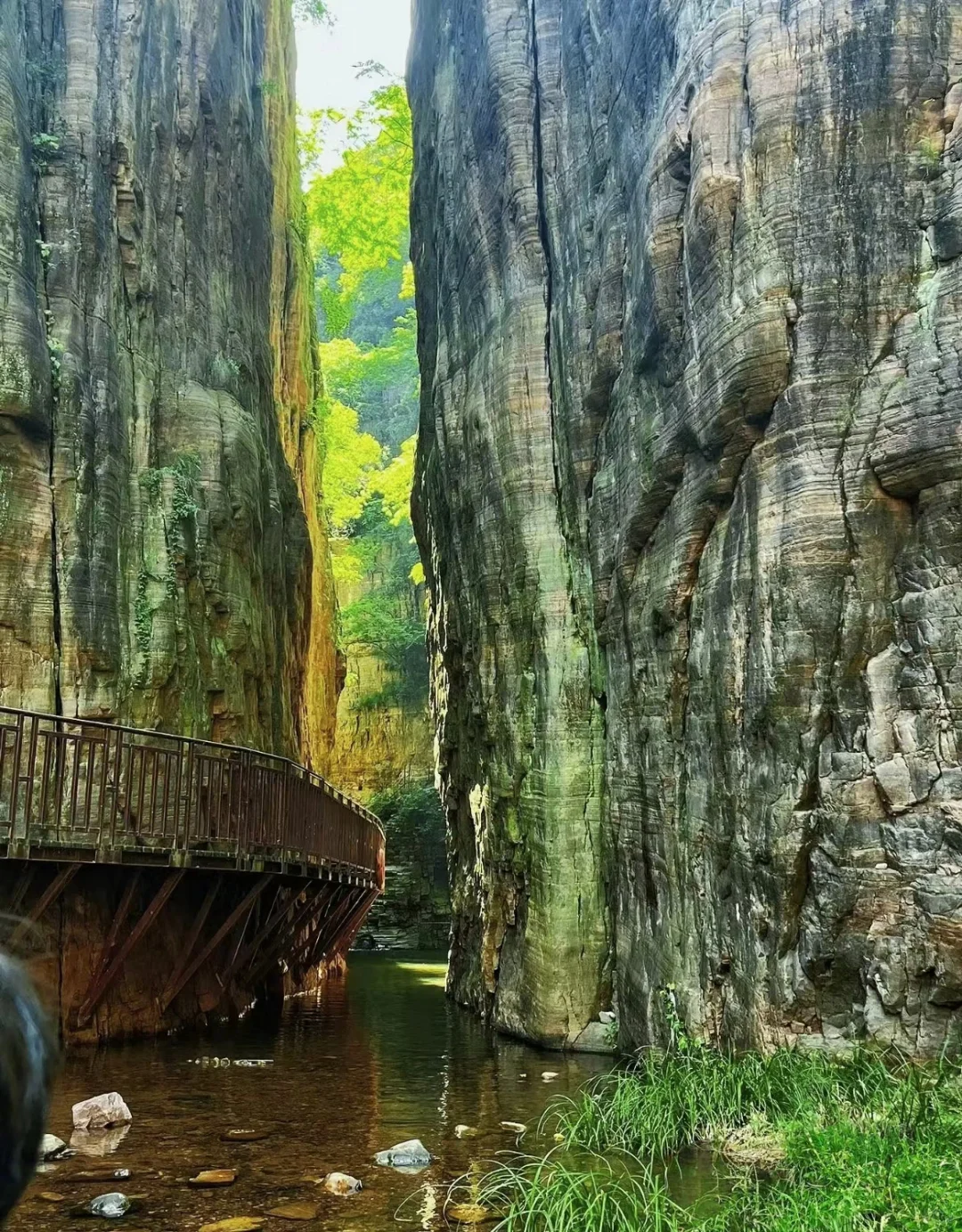 我一个人跟团去了中国唯一破产的5A级景区