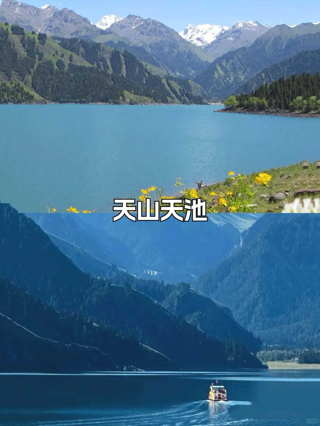 新疆必去九大景点❗️❗️❗️旅游必看❗️