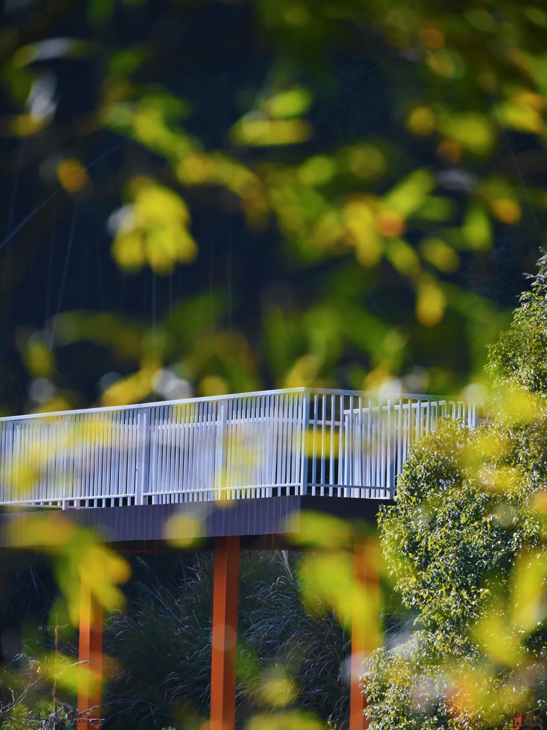 瑞士乡村？这是宁波1h直达的免费小众景点呀