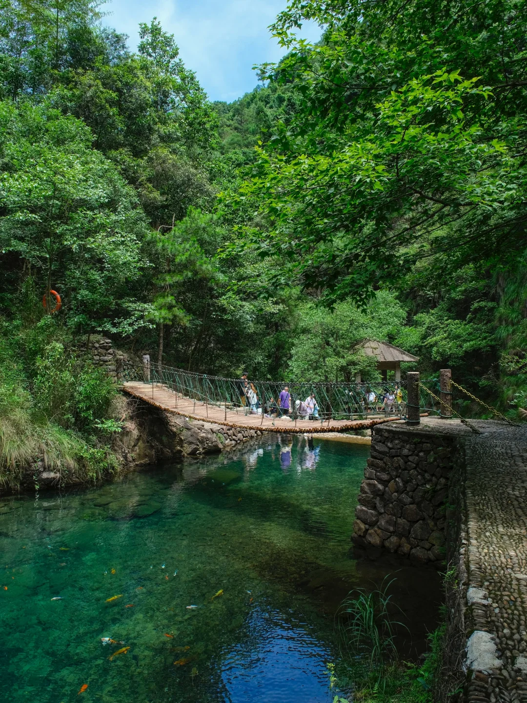 真的不在九寨沟！！在浙江！！美哭我😭😭