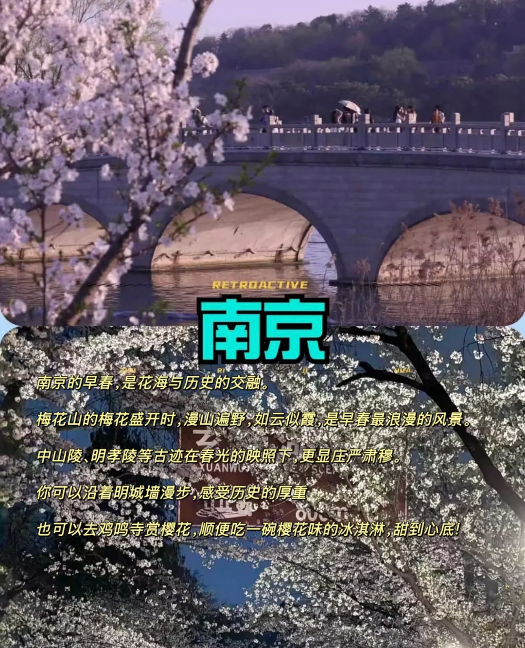 2-3月适🈴踏青旅游的10个目的地推荐👉